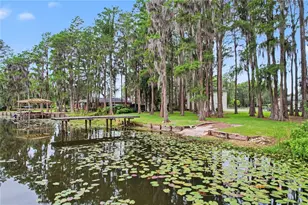 17305 Sherman Rd, Lutz, FL 33558 - Photo 78