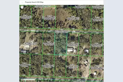 33472 West Boulevard, Ridge Manor Estates, FL 33597 - Photo 2