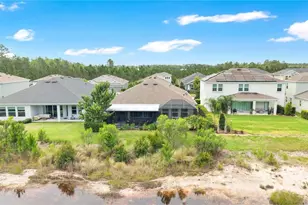 16429 Frehley Run, Land O Lakes, FL 34638 - Photo 48