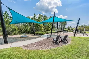 16429 Frehley Run, Land O Lakes, FL 34638 - Photo 42