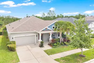 16429 Frehley Run, Land O Lakes, FL 34638 - Photo 2