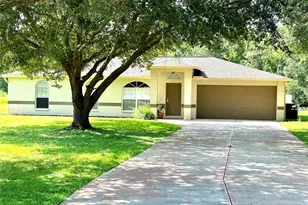 4416 Redcoat Dr, Wesley Chapel, FL 33543 - Photo 1