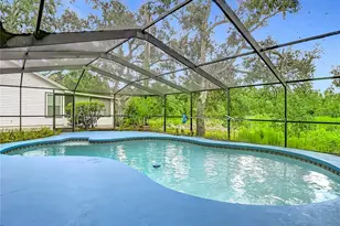 12721 N Armenia Ave, Tampa, FL 33612 - Photo 66