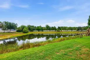 17735 Bright Wheat Dr, Lithia, FL 33547 - Photo 4