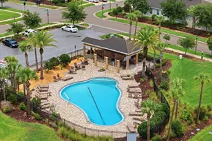 17735 Bright Wheat Dr, Lithia, FL 33547 - Photo 46