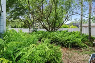 818 Wilkie St, Dunedin, FL 34698 - Photo 40