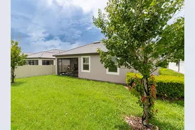 31467 Cannon Rush Drive, San Antonio, FL 33576 - Photo 40