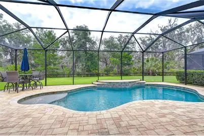 6335 Knob Tree Drive, Lithia, FL 33547 - Photo 38