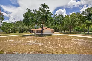 1232 Barranca Ave, Spring Hill, FL 34609 - Photo 50