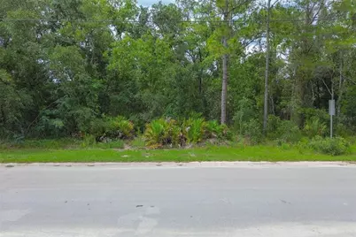 6859 W Merrivale Lane, Homosassa, FL 34446 - Photo 2