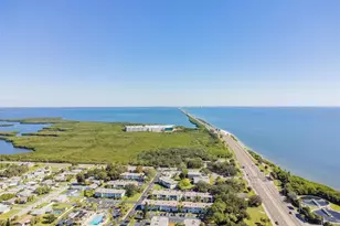 239 S McMullen Booth Rd, Clearwater, FL 33759 - Photo 28