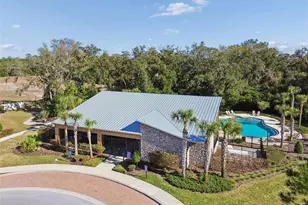 6388 Spider Lily Way, New Port Richey, FL 34653 - Photo 30