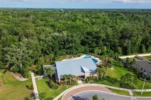 6388 Spider Lily Way, New Port Richey, FL 34653 - Photo 90