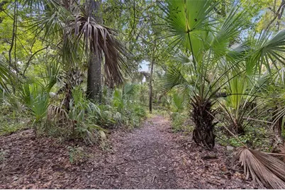 6388 Spider Lily Way, New Port Richey, FL 34653 - Photo 44