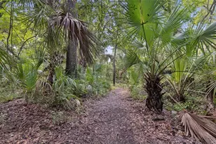 6388 Spider Lily Way, New Port Richey, FL 34653 - Photo 44