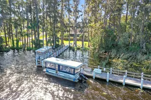 3351 Stonehaven Ct W, Palm Harbor, FL 34684 - Photo 54