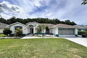 29439 Schinnecock Hills Ln, San Antonio, FL 33576 - Photo 1