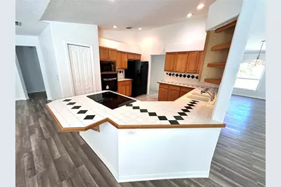 29439 Schinnecock Hills Lane, San Antonio, FL 33576 - Photo 8