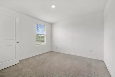 11926 Downy Birch Drive, Riverview, FL 33569 - Photo 30