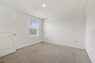 11926 Downy Birch Dr, Riverview, FL 33569 - Photo 30