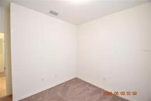 20076 Azul Marble Loop, Land O Lakes, FL 34638 - Photo 46
