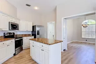 22035 Yachtclub Terrace, Land O Lakes, FL 34639 - Photo 26