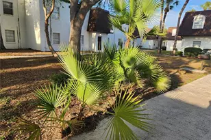 9101 W Hillsborough Ave, Tampa, FL 33615 - Photo 44