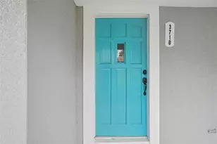 3710 W Griflow St, Tampa, FL 33629 - Photo 6