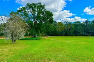 2837 Sherry Brook Ln, Lutz, FL 33559 - Photo 46