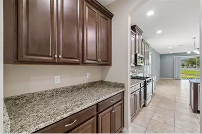17566 Buckingham Garden Drive, Lithia, FL 33547 - Photo 14