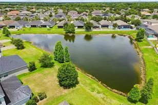 17566 Buckingham Garden Dr, Lithia, FL 33547 - Photo 58