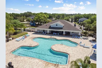 17566 Buckingham Garden Drive, Lithia, FL 33547 - Photo 54