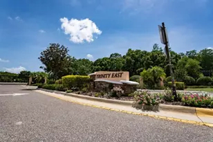 1038 Ketzal Dr, Trinity, FL 34655 - Photo 2