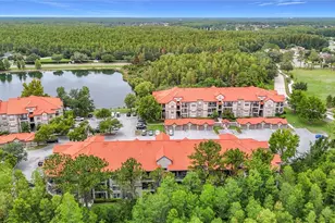 18107 Peregrines Perch Pl, Lutz, FL 33558 - Photo 30