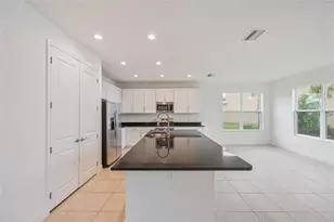 3488 Great Banyan Way, Wesley Chapel, FL 33543 - Photo 8