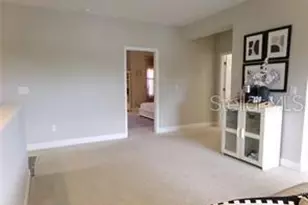 11212 Hawks Fern Dr, Riverview, FL 33569 - Photo 20