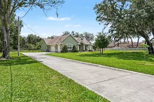 6913 Colley Rd, Odessa, FL 33556 - Photo 8