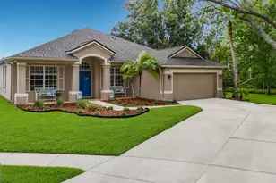 19101 Golden Cacoon Pl, Lutz, FL 33558 - Photo 2
