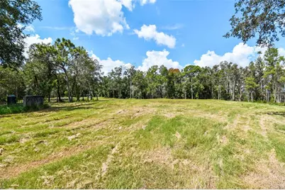 1758 Land O Lakes Boulevard, Lutz, FL 33549 - Photo 6