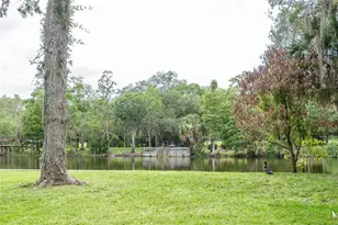 7308 N Ola Ave, Tampa, FL 33604 - Photo 48