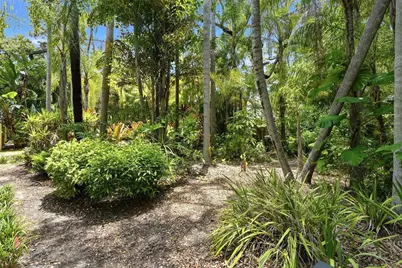 Lot 14 E Marshall Street, Safety Harbor, FL 34695 - Photo 10