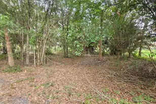 7309 Quail Meadow Rd, Plant City, FL 33565 - Photo 64