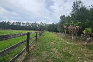 7309 Quail Meadow Rd, Plant City, FL 33565 - Photo 80