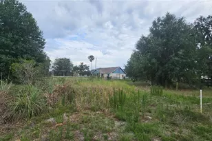7309 Quail Meadow Rd, Plant City, FL 33565 - Photo 72