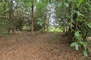 7309 Quail Meadow Rd, Plant City, FL 33565 - Photo 70