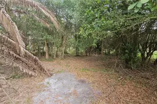 7309 Quail Meadow Rd, Plant City, FL 33565 - Photo 70