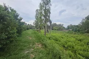 7309 Quail Meadow Rd, Plant City, FL 33565 - Photo 54