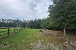 7309 Quail Meadow Rd, Plant City, FL 33565 - Photo 74