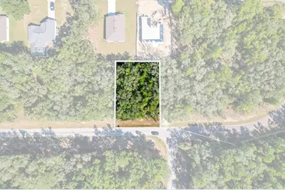 10562 N Adler Drive, Citrus Springs, FL 34434 - Photo 6