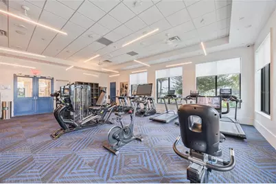32684 Tamarind Grove Lane, Wesley Chapel, FL 33543 - Photo 54